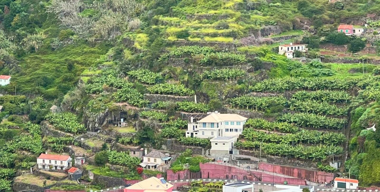 Ribeira Roots *