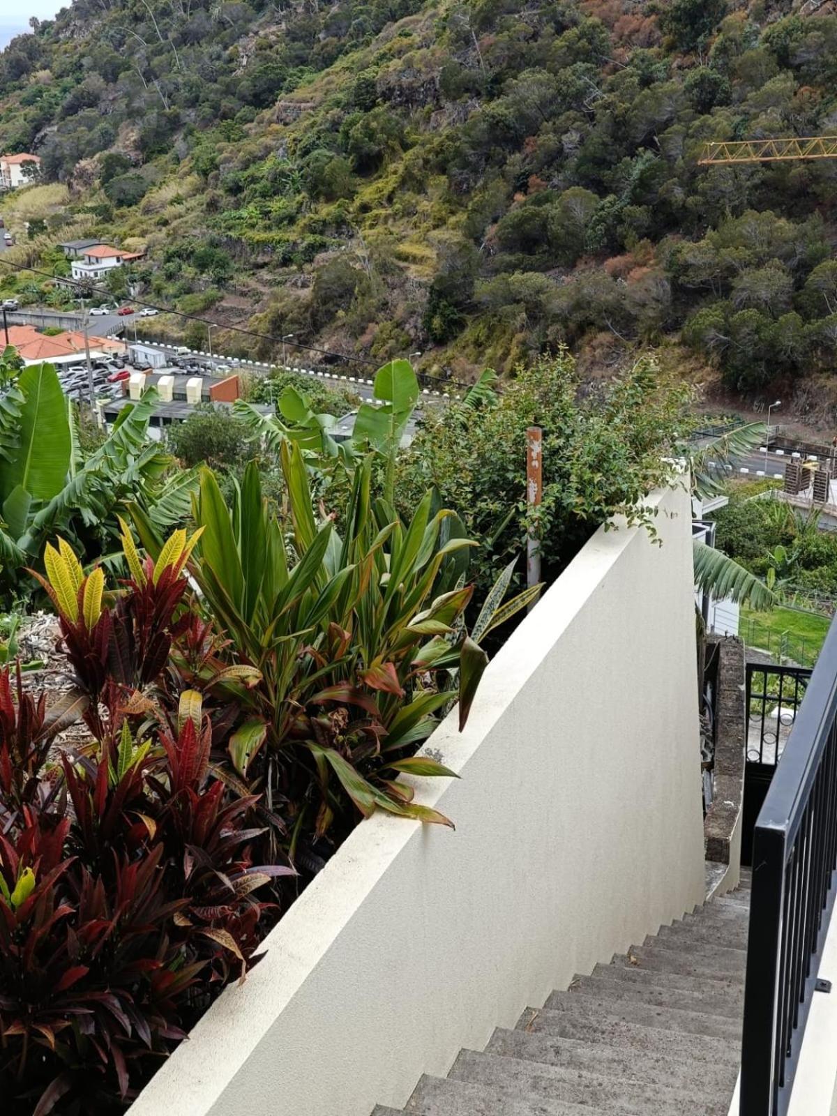 Ribeira Roots Santa Cruz - Madeira